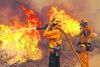 Município publica Plano de Defesa da Floresta contra Incêndios