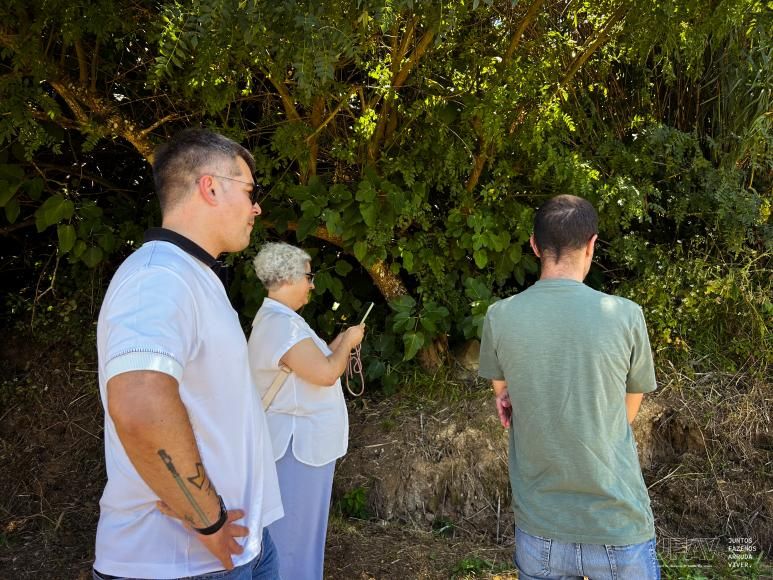 Prosseguem Vistorias Operacionais aos Caminhos Rurais