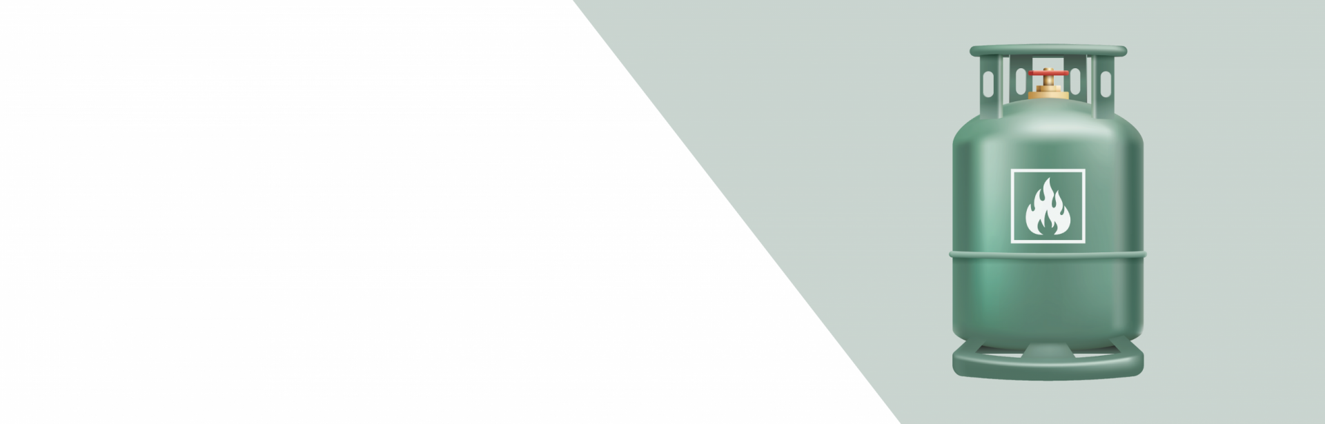 Botjia Solid&aacute;ria